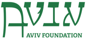 Aviv-Foundation - Higher Achievement